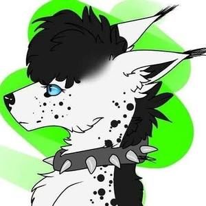 Meet your Posher, Aaliyah